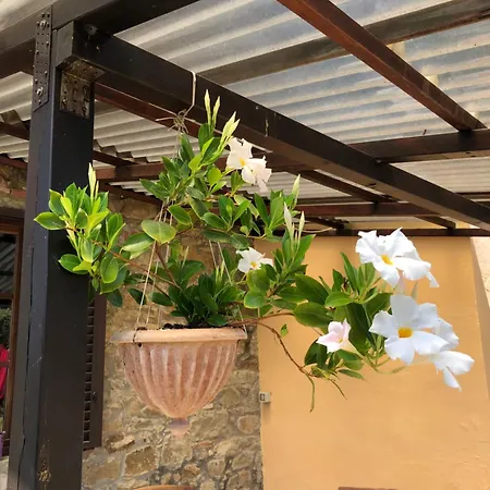 Casa Cielo Tatil Evi *
