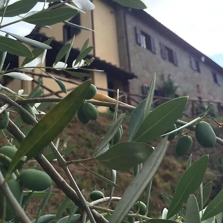 Casa Cielo Tatil Evi Pescia